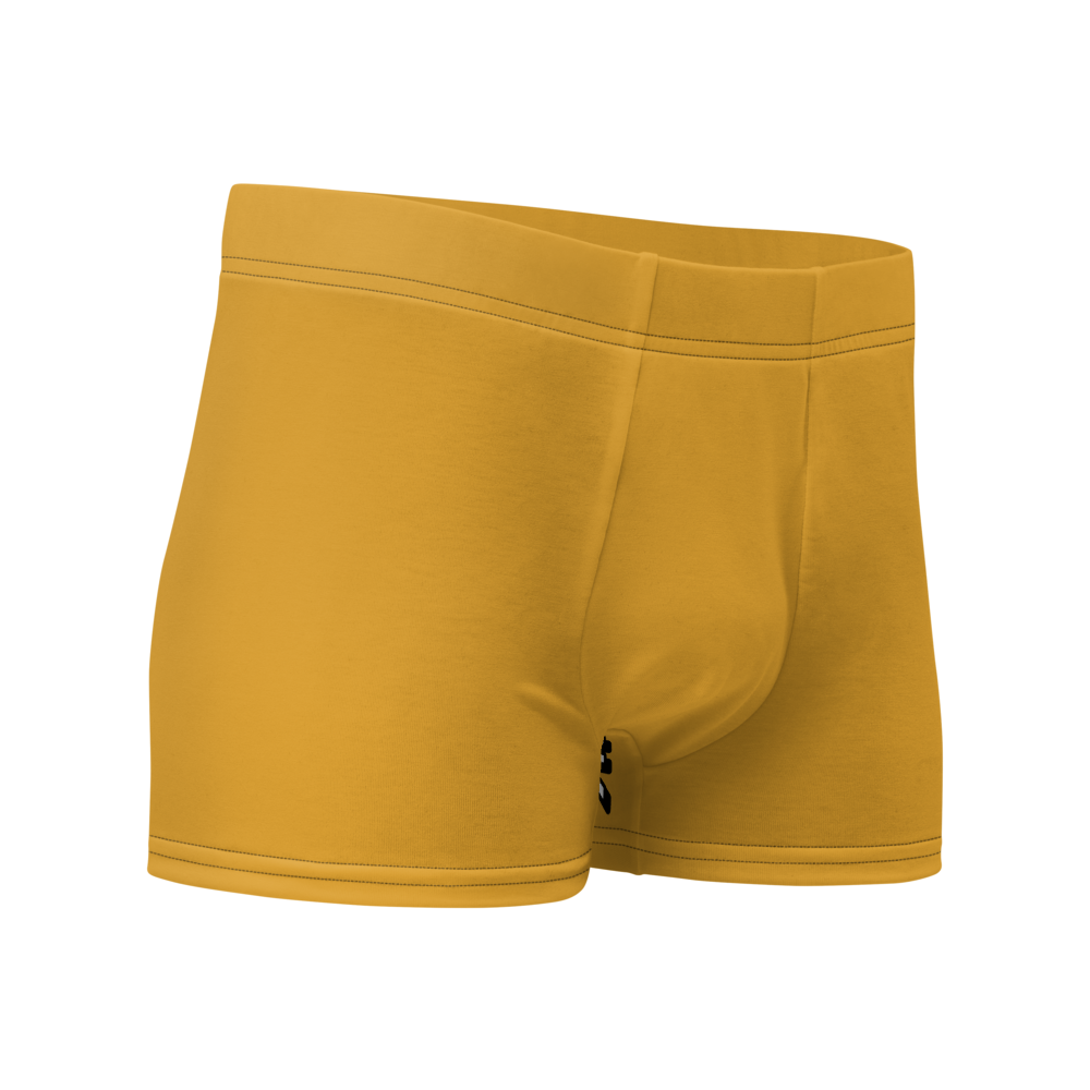 Theories Boxer Briefs